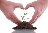 Be Green at Stonegate Villas Apartments