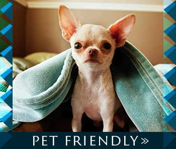 Stonegate Villas Apartments is pet friendly